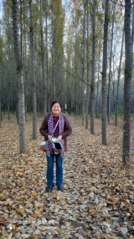 小海星的第二张照片--石家庄闪婚服务中心